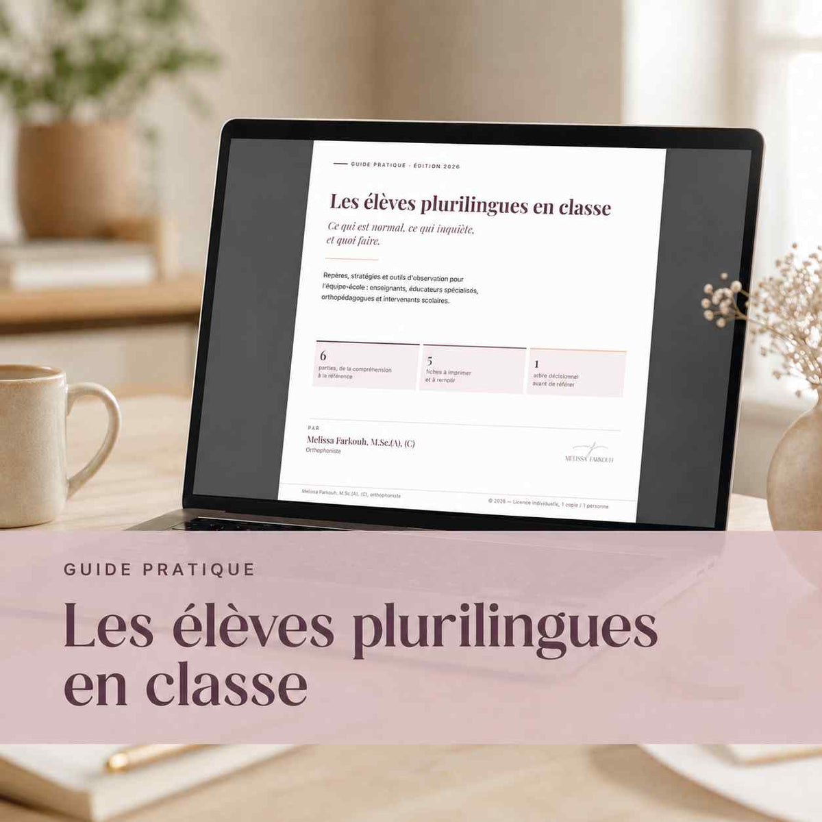 Les élèves plurilingues en classe :  Guide pratique pour les orthophonistes, enseignants et éducateurs